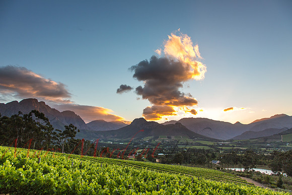 Franschhoek
