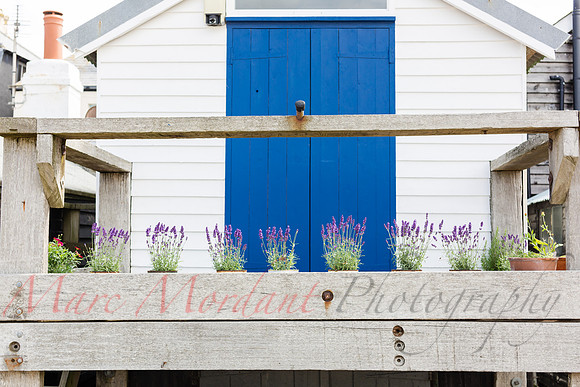 Whitstable