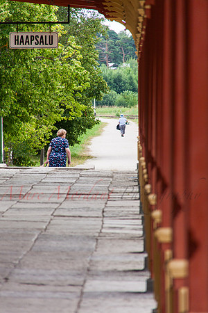 Haapsalu