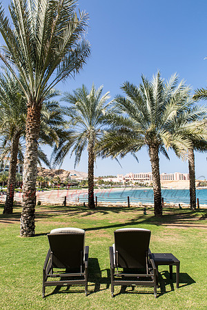 Muscat