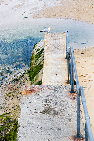 St. Ives