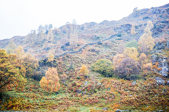 Cumbria