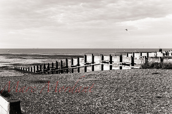 Whitstable