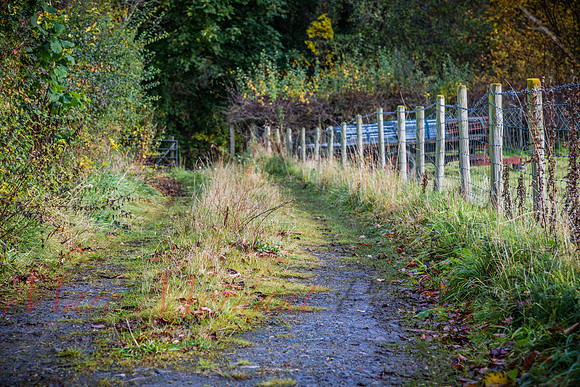 Cumbria