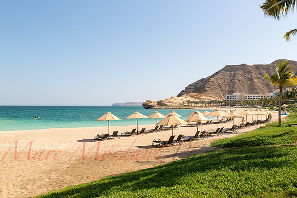 Muscat