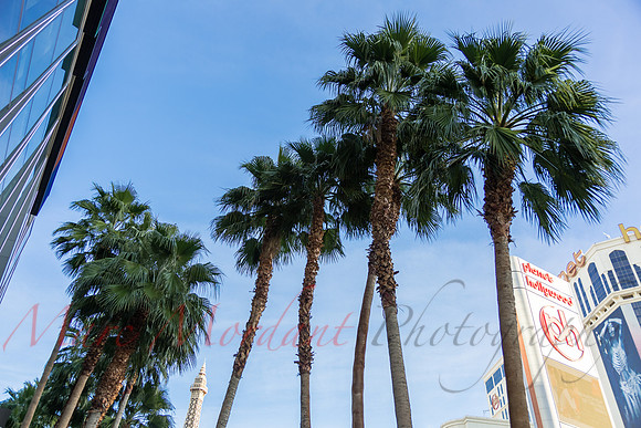 Las Vegas, NV