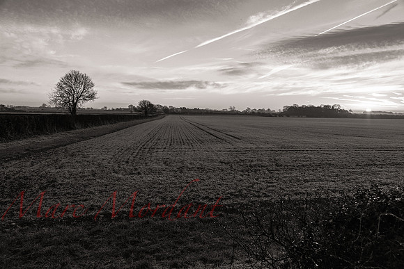 Gloucestershire