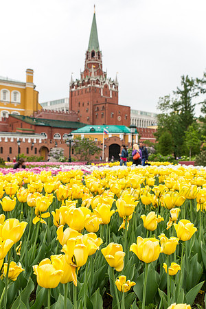 Moscow