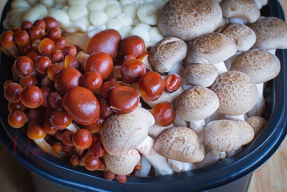 Mushrooms
