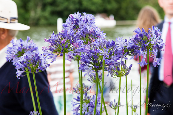 Royal Henley Regatta 2015
