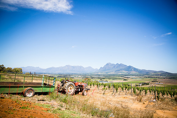 Paarl