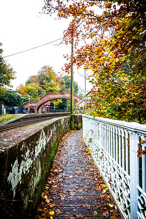 Cumbria