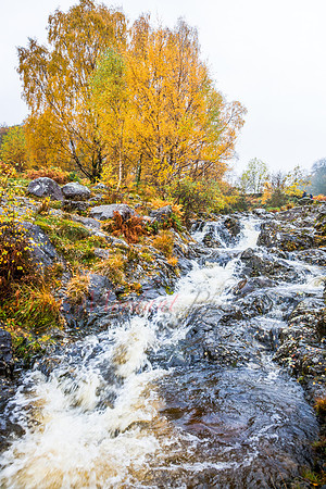 Cumbria
