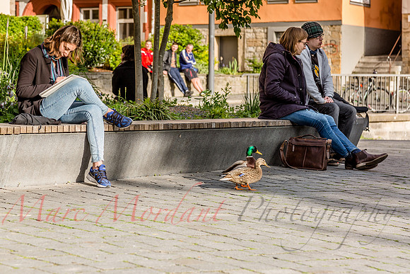 Erfurt