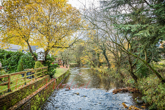 Cumbria
