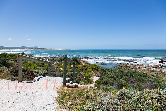 Hermanus