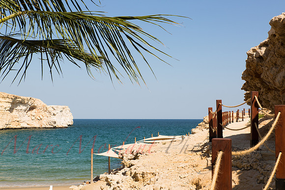 Muscat