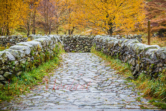 Cumbria