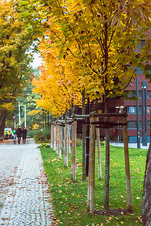 Wrocław