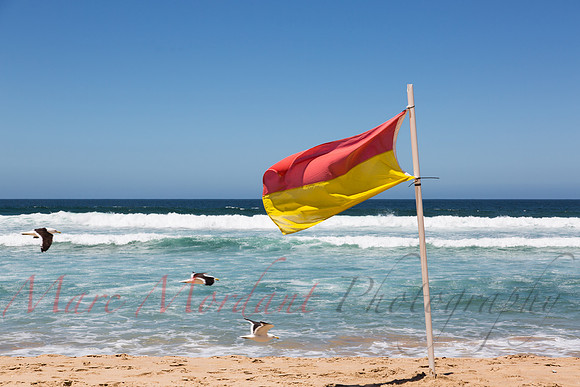 Plettenberg Bay