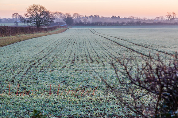 Gloucestershire