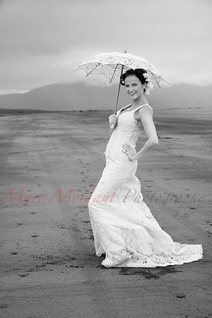 Trash the Dress