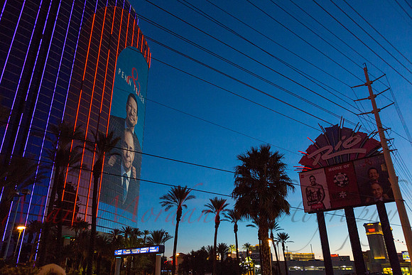 Las Vegas, NV