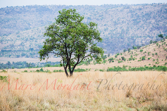 Tshukudu Bush Lodge