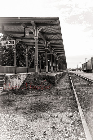 Haapsalu