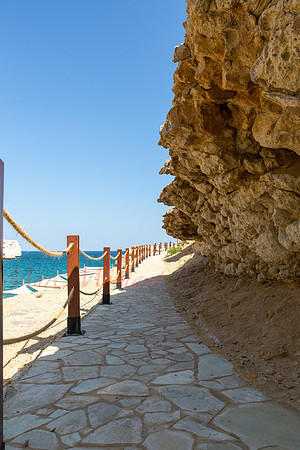 Muscat