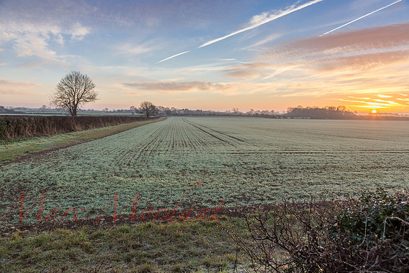 Gloucestershire
