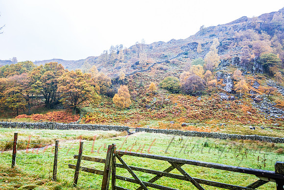 Cumbria