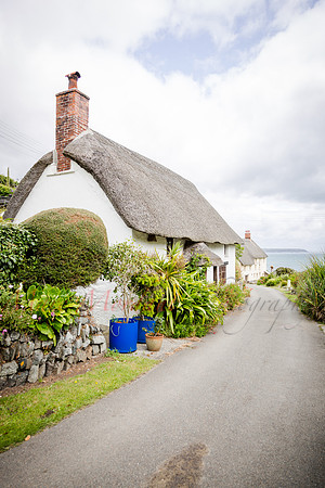 Lizard Point