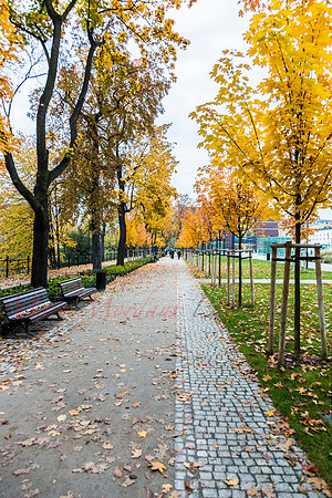 Wrocław