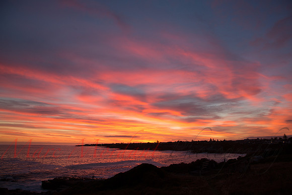 Hermanus