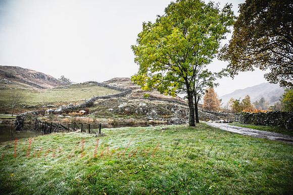 Cumbria
