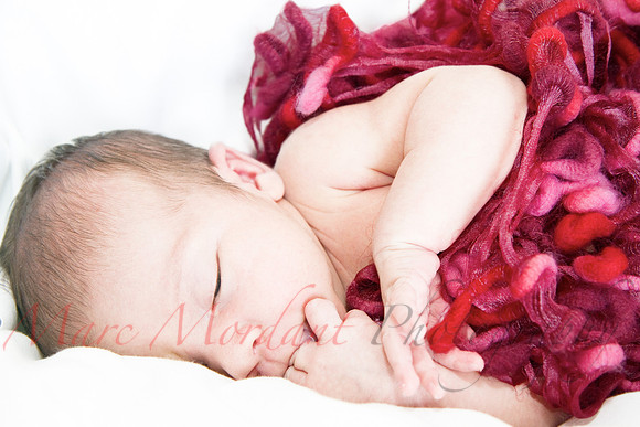 Among Babies