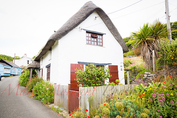 Lizard Point