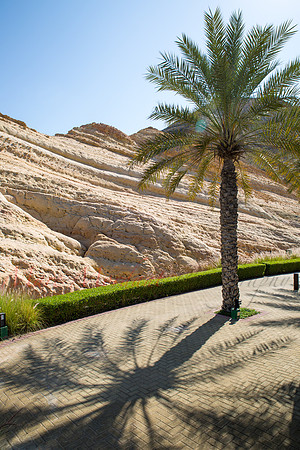 Muscat