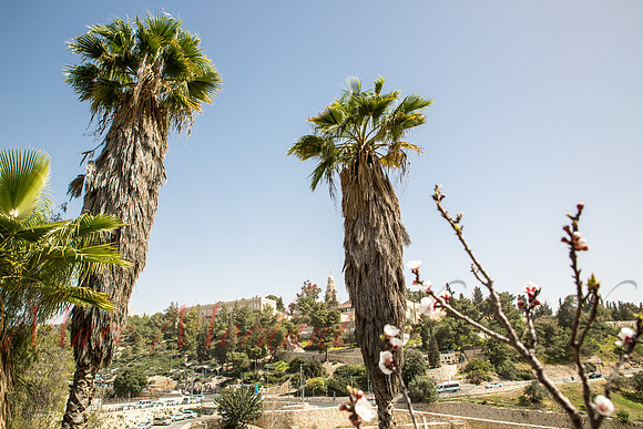 Jerusalem