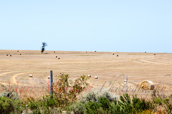 Garden Route