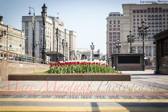 Moscow