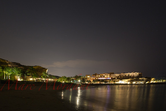 Muscat