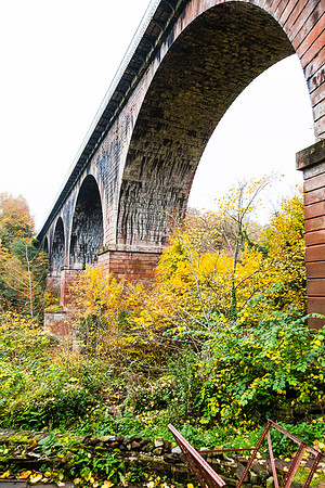 Cumbria