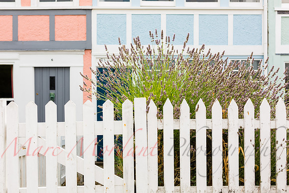 Whitstable