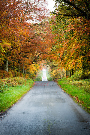 Cumbria