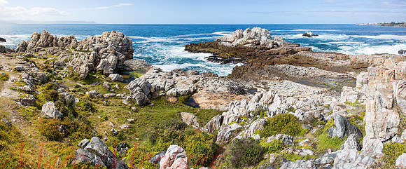 Hermanus