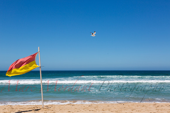 Plettenberg Bay